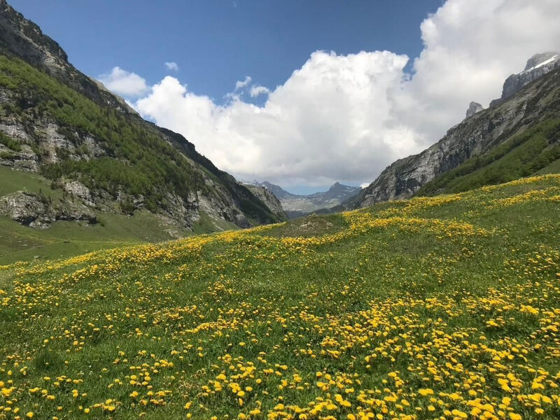 Alphütte Gental - Haslital