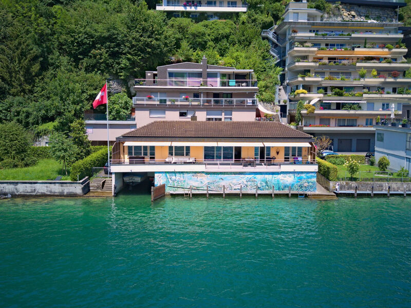Seestern Am See