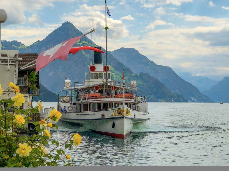 Seestern Am See