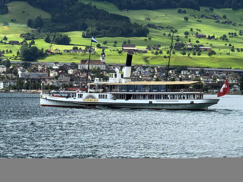 Seestern Am See