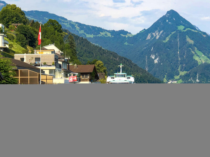 Seestern Am See