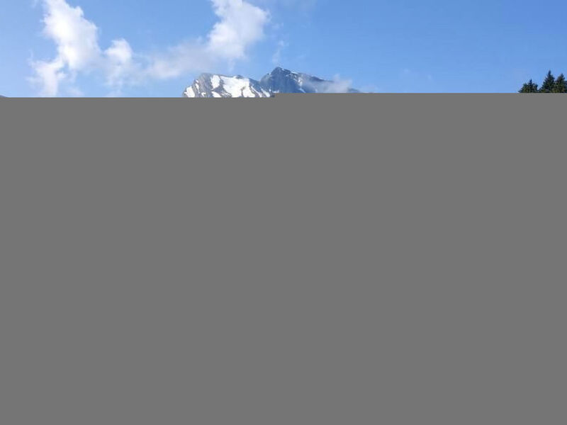 Chalet Hörler