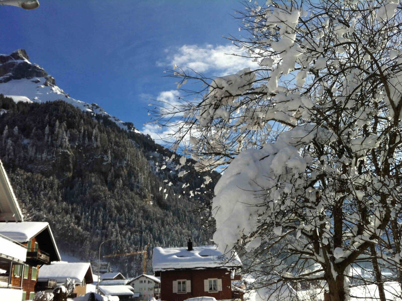 Hälmehois