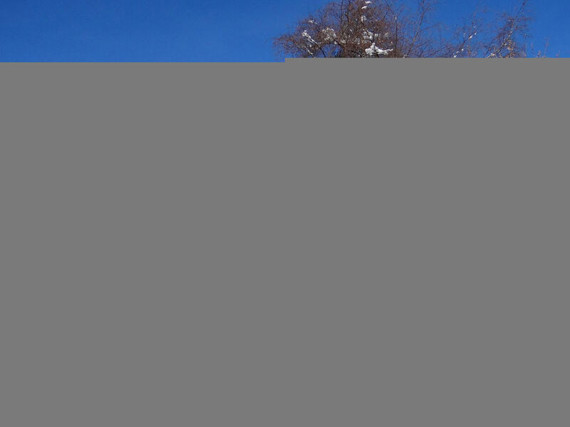 Alpenstrasse 1