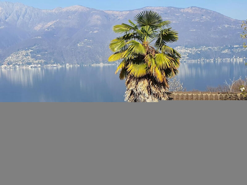 Aranciarosa