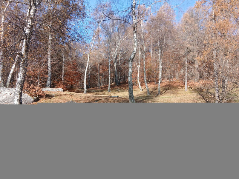 Monti di Motti Ferienhaus inmitten der Natur