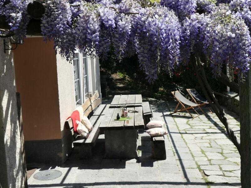 La Pineta