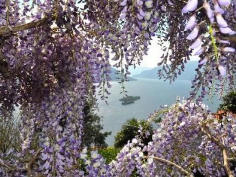 Vila Cresta Bianca
