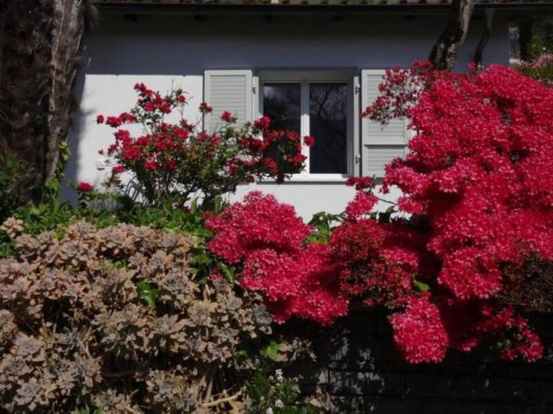 Öko-Haus G, Schwimmbad Garten herrlicher Seeblick