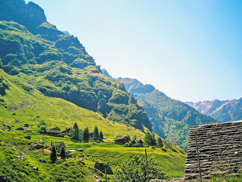 Rustico Orino