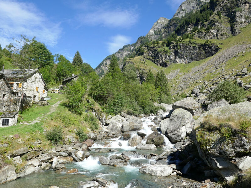 Rustico Orino