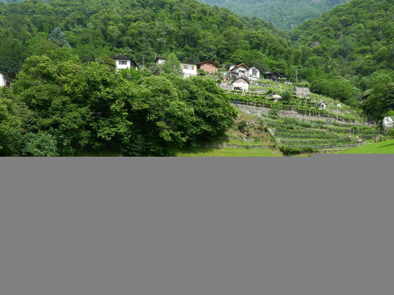 La Monda