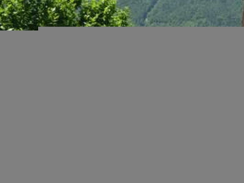 Ursprüngliches, stilvolles Rustico