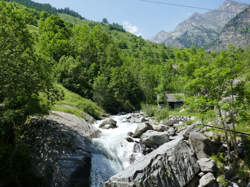 Rustico Nurell