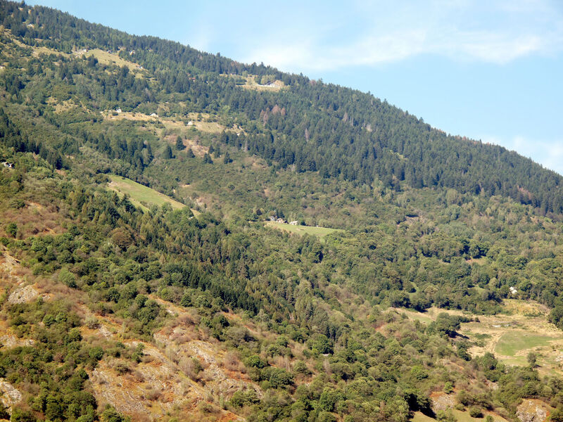 Casa De Leoni