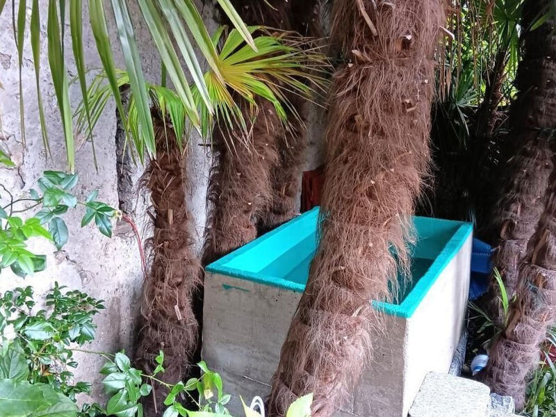 Casa Belgeri