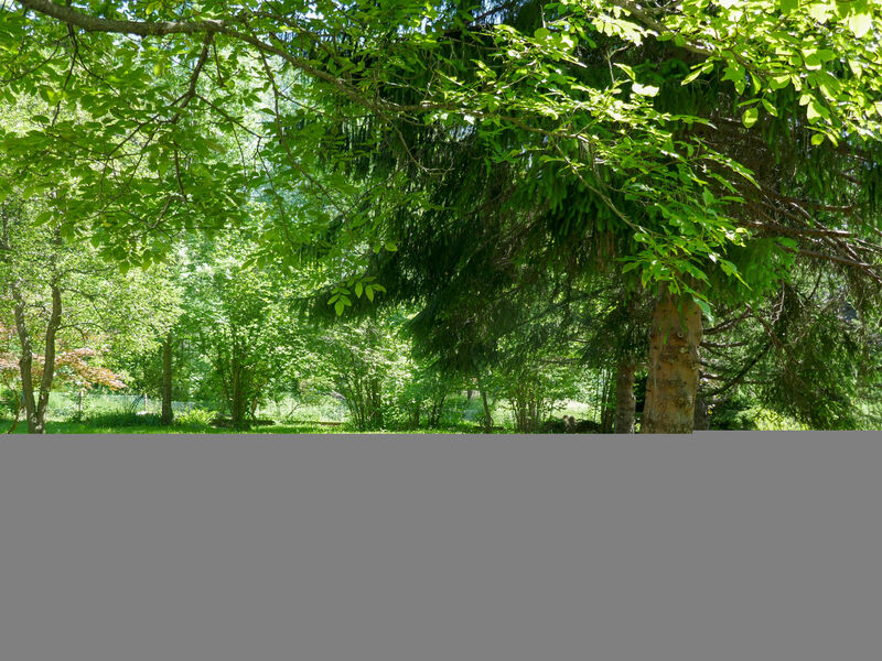 Chalet Al Portic
