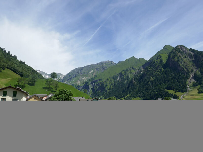 Prou Forestside