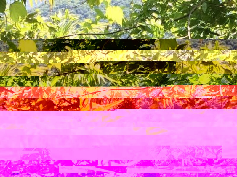 La Quercia