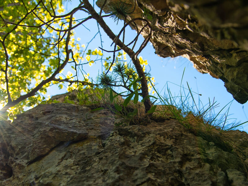 Wohlfühlort