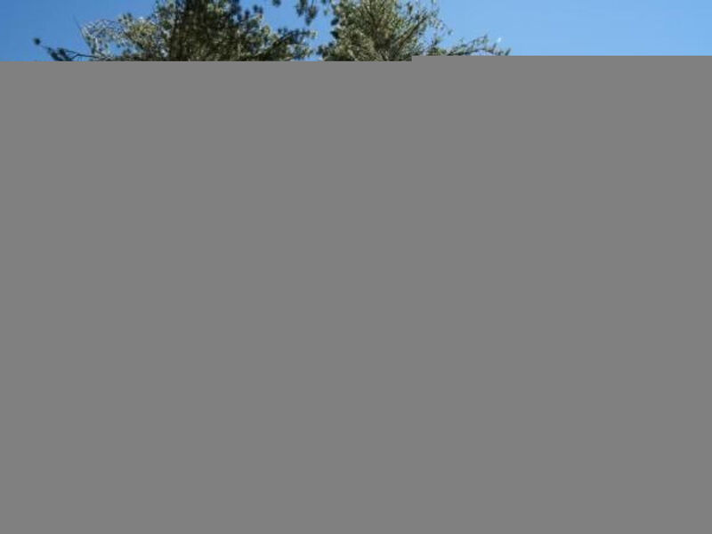 Alpine Lodge 6-Bett-Wohnung Chesa al Parc / 
