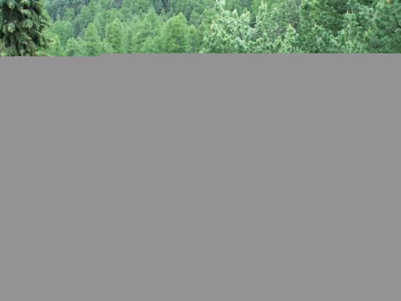 Chesa la Furia 22 - Bergbahnen inklusiv im Sommer