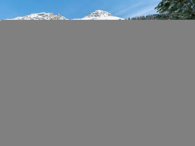 Chesa la Furia 22 - Bergbahnen inklusiv im Sommer