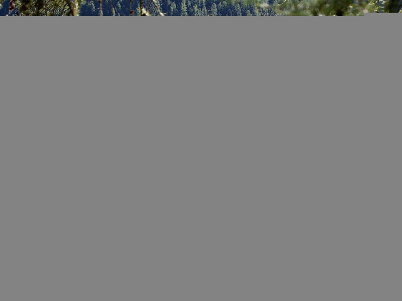 Alpine Lodge 4-Bett-Wohnung Chesa Plattner / 