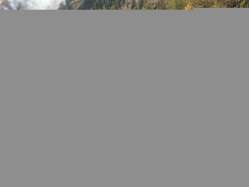 Chesa la Furia 3- Bergbahnen inklusiv im Sommer