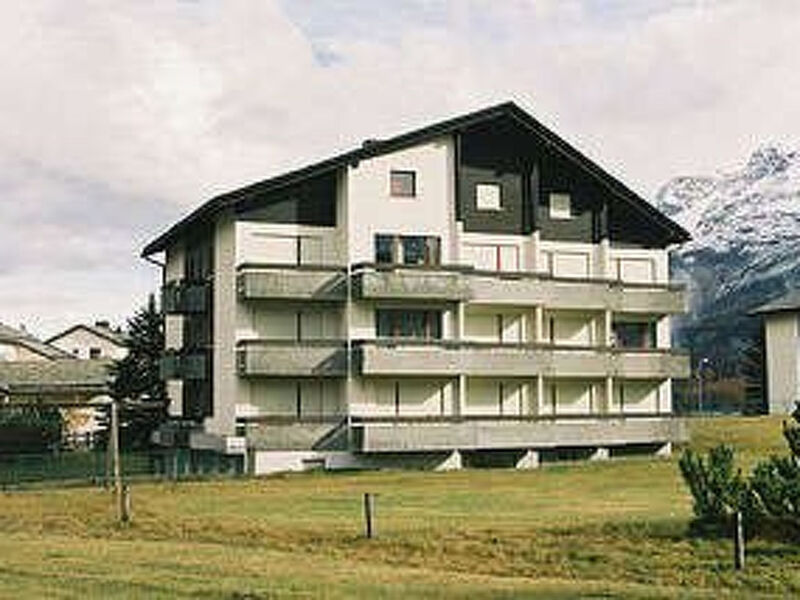Allegria 43