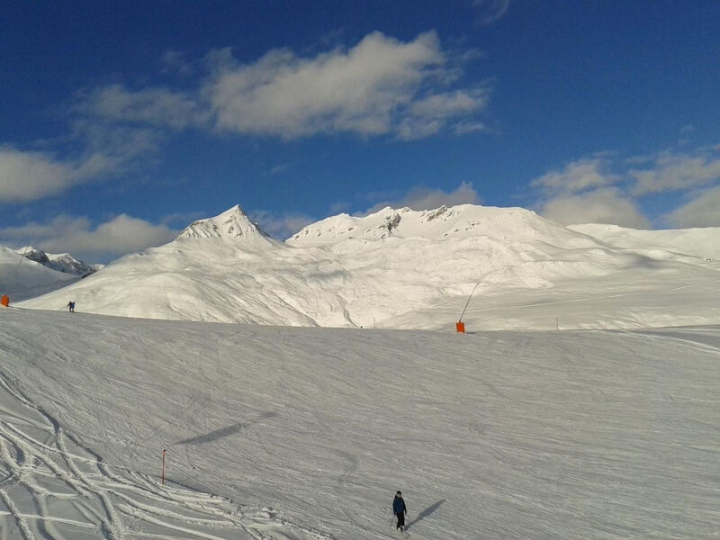 Alvetern Marmotta