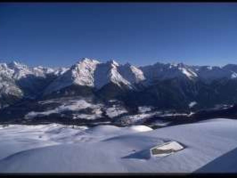 Alvetern Marmotta