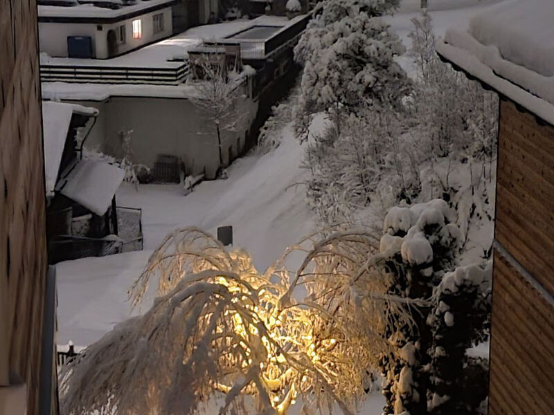MyGrischa