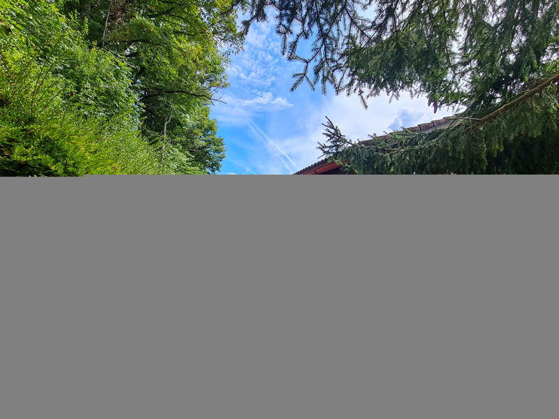 Chalet Crap Grisch