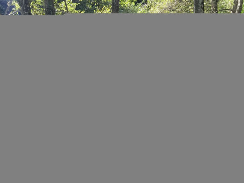 Gemütliche Ferienwohnung im Disentiserhof