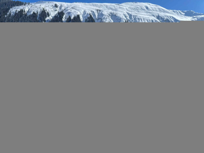 Blue Alpine Lodge