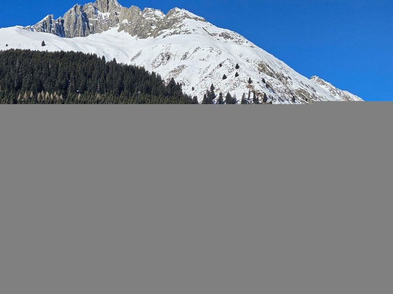 Blue Alpine Lodge