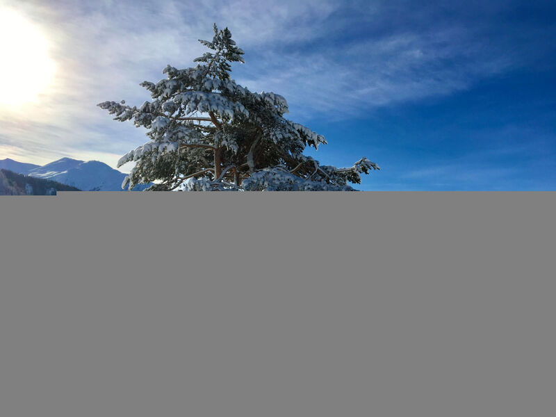 The Holiday Home Davos