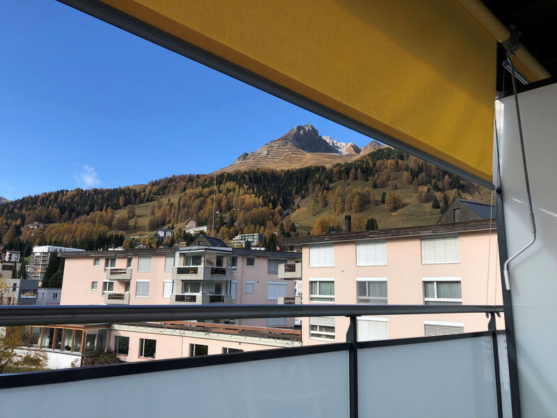Spaini