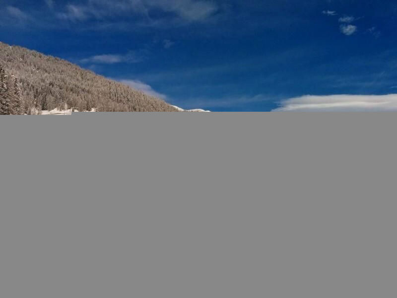 Chalet-Davos
