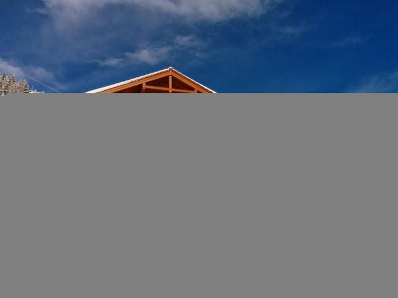 Chalet-Davos