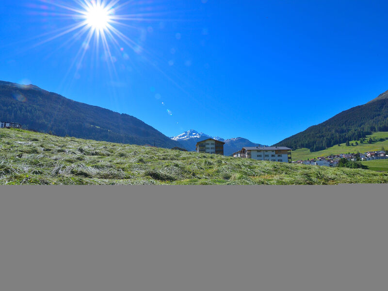 Surses Alpin