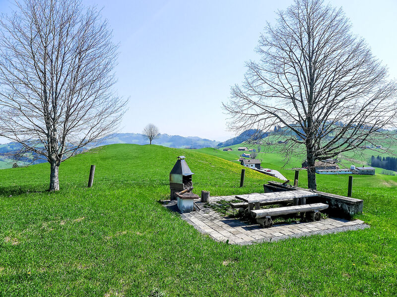 Alpsteinblick