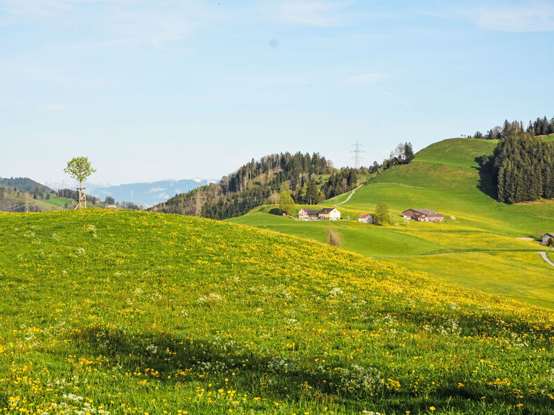 Alpsteinblick