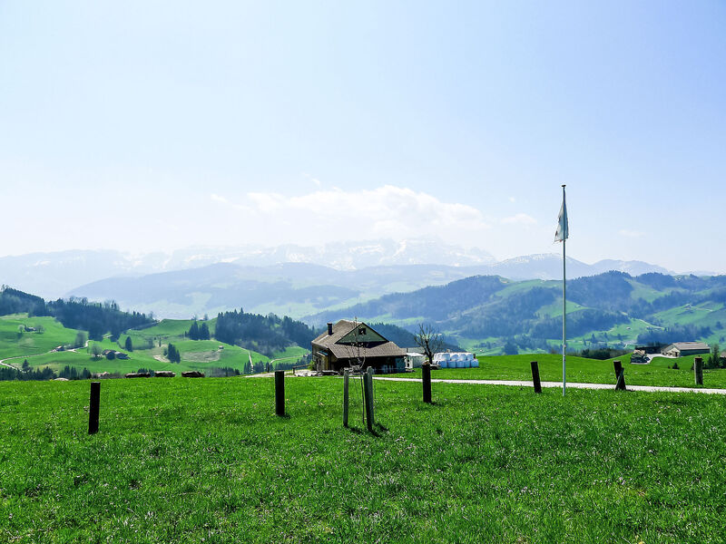 Alpsteinblick