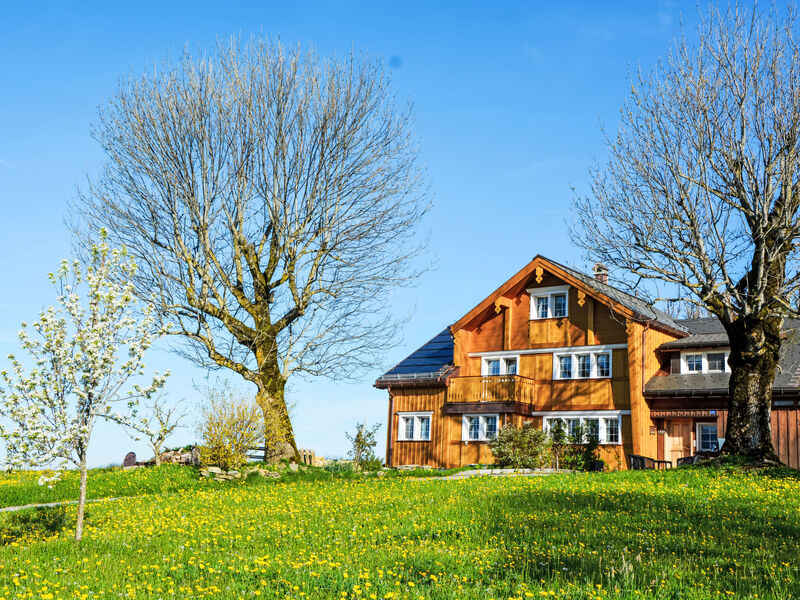 Alpsteinblick