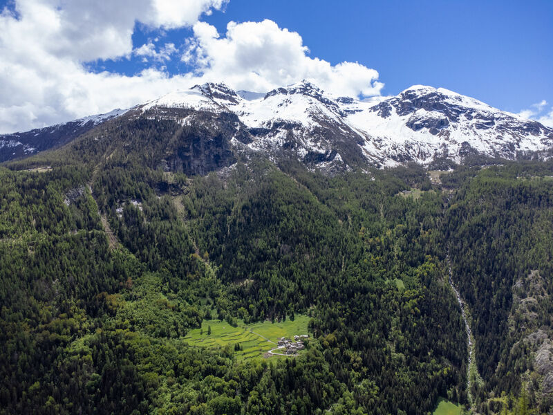 Baita Baulin