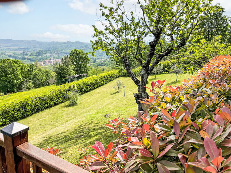 Bellavista