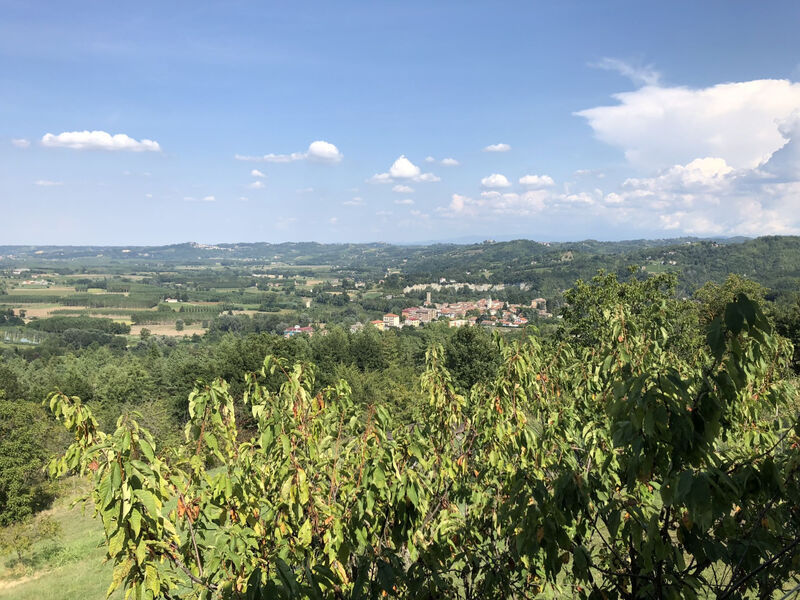Bellavista