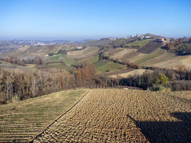 Tenuta Bricco San Giorgio